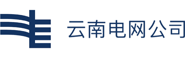 云南電網公司