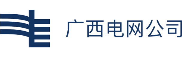 廣西電網公司